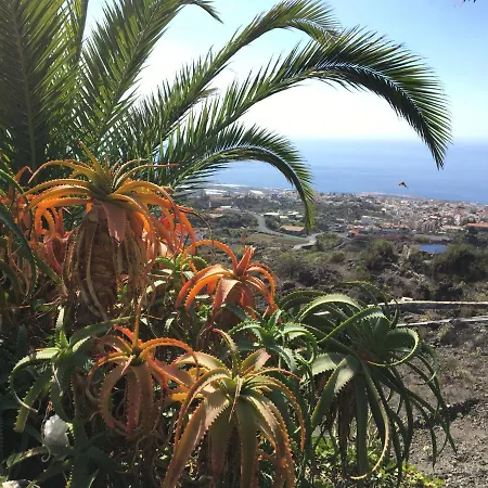 Rosamar Appartamento Los Cristianos (Tenerife)